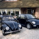 Beetle_-_Wallpaper_09 Beetle_-_Wallpaper_09